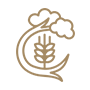MACC CERT Services